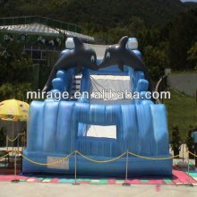 water slide and water park--Double dolphin slide