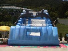 High quality Inflatable Water Slide for Adult