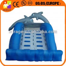 Dolphin inflatable slide game