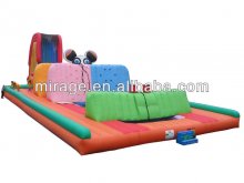 2013 Newly inflatable game