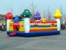 Gaint inflatable bouncer