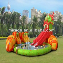 inflatable water park and playground for kids and adult