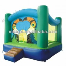 inflatable bouncer ifor kids